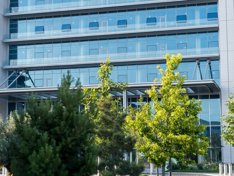 Audit et diagnostic organisationnel — Cabinet 3C